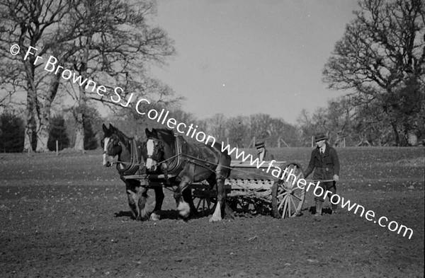 SOWING WINTER WHEAT MACHINE